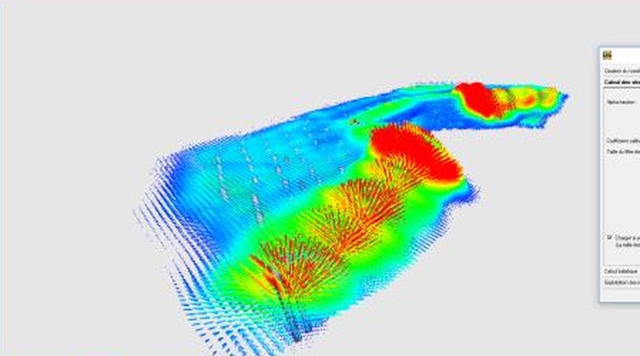 Champ de vitesse initiale des voxels sur la face libre
